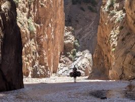 Maroc : Atlas & Anti-Atlas