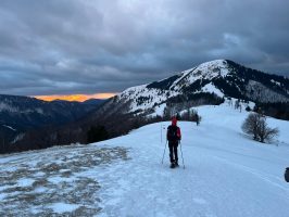 Pays de l'Est (Carpates)